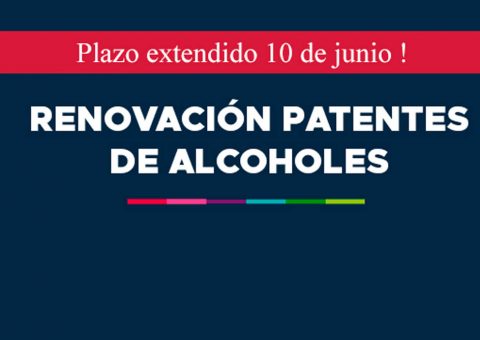 Proceso de Renovación Patente de Alcoholes
