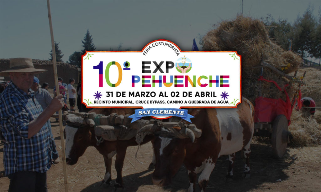 ¿Dónde hospedarse en San Clemente durante la Expo Pehuenche 2023?